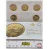 Image 1 : RCM Canada 2016 : $1 Circulation Coin : Lucky Loonie Five Coin Pack