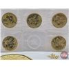 Image 2 : RCM Canada 2016 : $1 Circulation Coin : Lucky Loonie Five Coin Pack