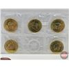 Image 3 : RCM Canada 2017 : $1 Loonie : 100th Anniversary of Women's Right to Vote : Five Coin Pack