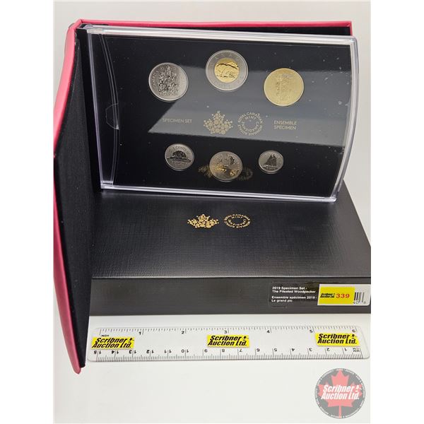 RCM Canada 2019 Specimen Set : The Pileated Woodpecker