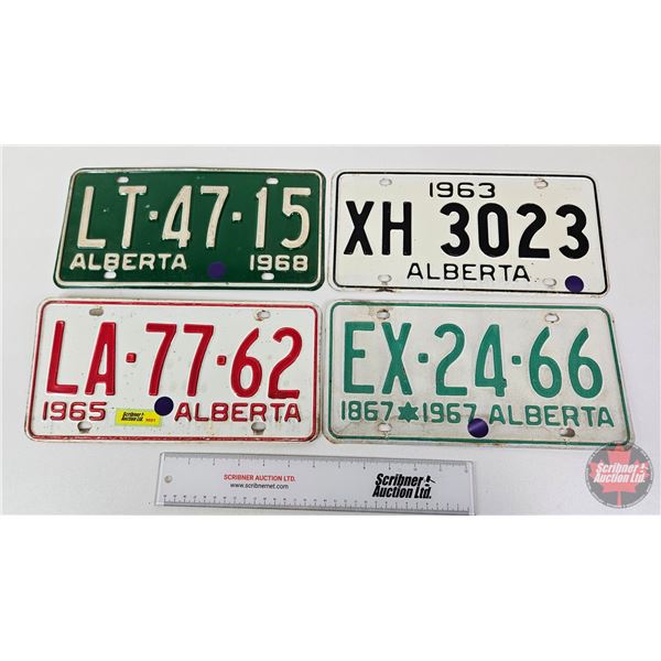 License Plates (4) : Alberta - 1965  - 1963 - 1967 - 1968 (All Measures : 6"H x 12"W)