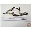 Image 1 : Pair of Spurs