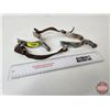 Image 4 : Pair of Spurs
