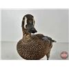 Image 14 : Taxidermy Duck (Tagged) (8-3/4"H)