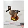 Image 2 : Taxidermy Duck (Tagged) (8-3/4"H)