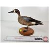Image 3 : Taxidermy Duck (Tagged) (8-3/4"H)