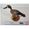 Image 4 : Taxidermy Duck (Tagged) (8-3/4"H)