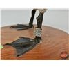 Image 5 : Taxidermy Duck (Tagged) (8-3/4"H)