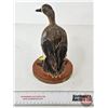 Image 8 : Taxidermy Duck (Tagged) (8-3/4"H)