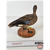 Image 9 : Taxidermy Duck (Tagged) (8-3/4"H)
