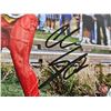 Image 3 : Autograph 8 x 10 Photo : Adam Sandler - Happy Gilmore (Certified : WWOC)