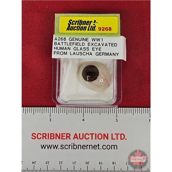 WW1 Battlefield Excavated Human Glass Eye from Germany
