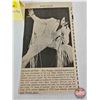 Image 14 : Collector Comb: - Microphone Electro-Voice RE 10 (Consignor Note: Elvis' Favorite) - 1973 Souvenir P
