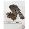 Image 6 : Wooden Sculpture of Hawk Perched on Log  (11"H x 19"W x 8"D)