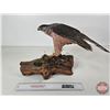 Image 7 : Wooden Sculpture of Hawk Perched on Log  (11"H x 19"W x 8"D)