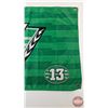 Image 10 : Saskatchewan Roughriders/Pilsner Flag  (Measures : 23"H x 46"W)