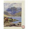Image 3 : Framed Print : Inverlochy Castle by D Sherrin (Highland Cows)  (Measures : 26"H x 32"W)