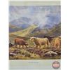 Image 4 : Framed Print : The Falls of Glen Nevis by D Sherrin (Highland Cows)  (Measures : 26"H x 32"W)