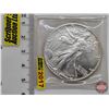 Image 1 : USA American Silver Eagle Bullion One-Dollar Coin : 1oz Fine Silver 1987