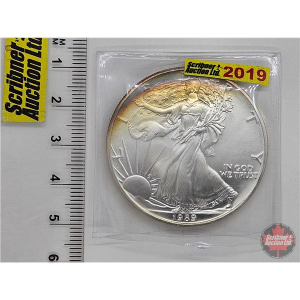 USA American Silver Eagle Bullion One-Dollar Coin : 1oz Fine Silver 1989