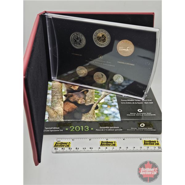 RCM Canada 2013 Specimen Set : Special Edition : Young Wildlife Series : Black Bear