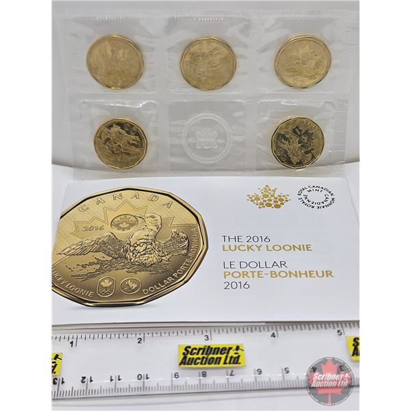 RCM Canada 2016 $1 Lucky Loonie : Five Coin Pack