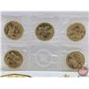 Image 2 : RCM Canada 2016 $1 Lucky Loonie : Five Coin Pack