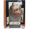 Image 6 : RCM Canada 2004 $8 Limited-Edition Stamp & Fine Silver Coin Set : The Great Grizzly (S/N#04484of 258