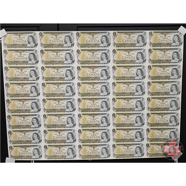 Canada $1 Bills 1973 : (40) UNCUT SHEET 5x8 BABN (ROLLED)  (Crow/Bouey #BFL0680152 ~ #BFL0699652)