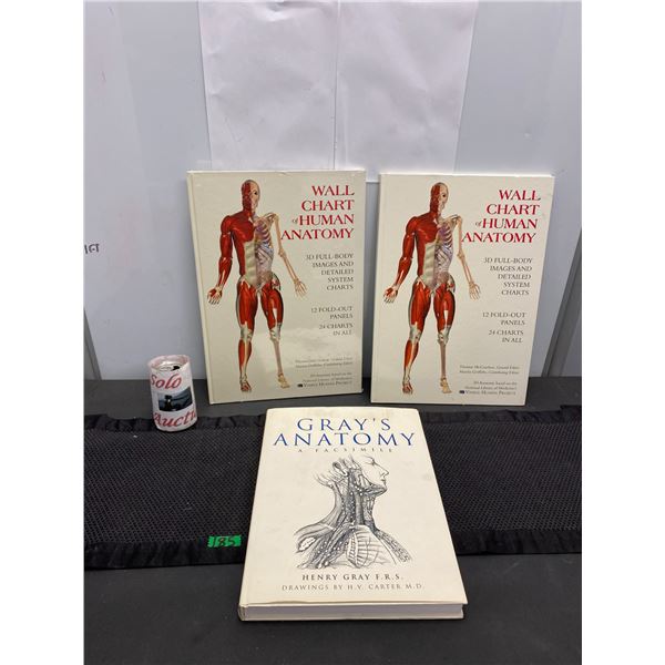 Gray's Anatomy books and wall charts of human anatomy