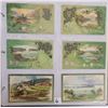 Image 10 : St. Patrick's Day Holiday Greeting Postcards Album 130+