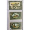 Image 9 : St. Patrick's Day Holiday Greeting Postcards Album 130+