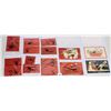 Image 3 : Krampus Holiday Greeting Christmas Postcard Album 59 Cards