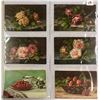 Image 11 : Album of Greetings with Fruit Postcards Approx. 165