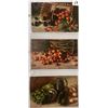 Image 5 : Album of Greetings with Fruit Postcards Approx. 165