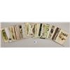 Image 4 : Animals - Pigs on Greeting Postcards Approx. 75
