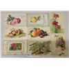 Image 1 : Signed Artist Klein Flower Postcards Approx. 40