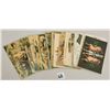 Image 3 : Animals - Pigs on Greeting Postcards 18