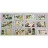 Image 1 : St. Patrick's Day Holiday Greeting Postcard Album 100+