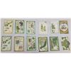 Image 2 : St. Patrick's Day Holiday Greeting Postcard Album 100+