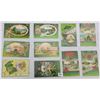Image 3 : St. Patrick's Day Holiday Greeting Postcard Album 100+