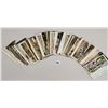 Image 3 : New Jersey Trolley Postcards. Approx. 55