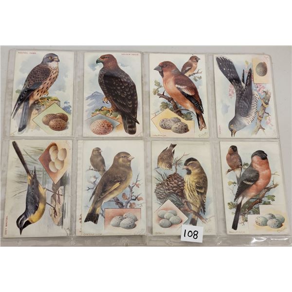 Tuck British Birds & Their Egg Postcards 10