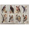 Image 1 : Tuck British Birds & Their Egg Postcards 10