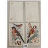 Image 2 : Tuck British Birds & Their Egg Postcards 10