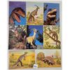 Image 1 : Dinosaur Postcards 1000+