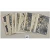 Image 3 : Real Photo New York Zoological Park Postcards 9