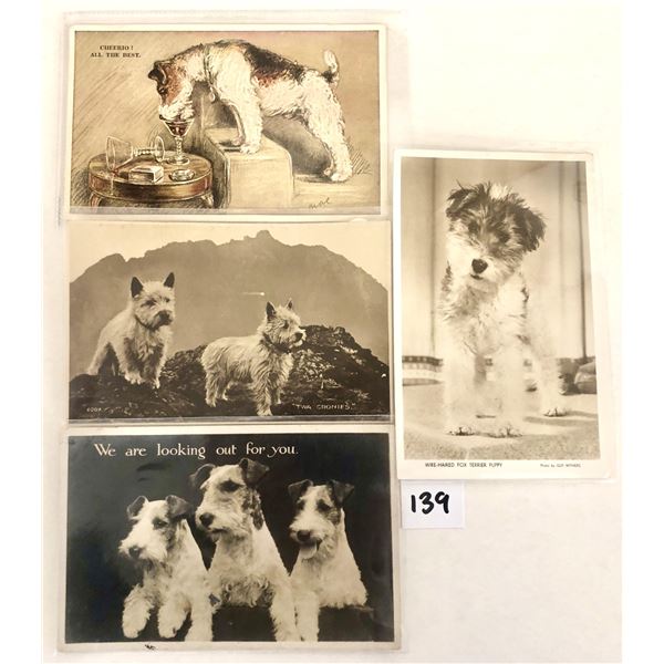 Animals - Dogs Terriers Postcards Approx. 65