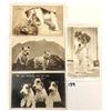 Image 1 : Animals - Dogs Terriers Postcards Approx. 65