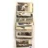 Image 4 : Animals - Dogs Terriers Postcards Approx. 65